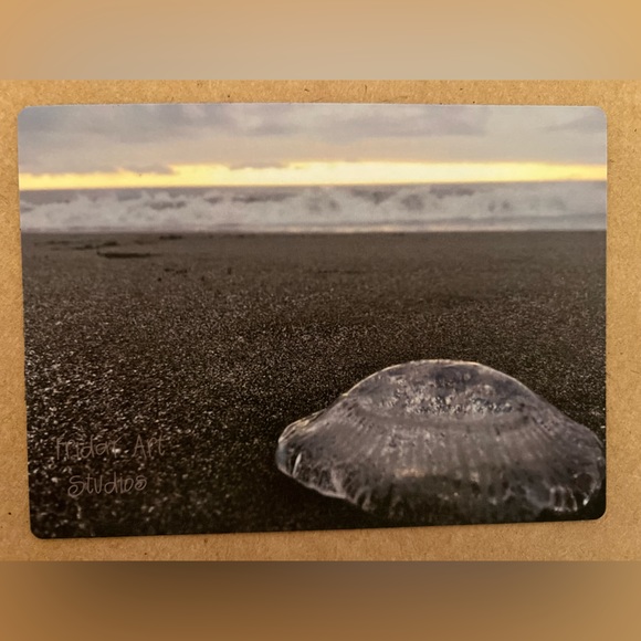 Magnetic Art Jellyfish 4โ x 5.5โ - Picture 2 of 4